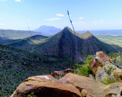 featured image Saltillo