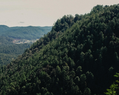 featured image Tuxtla Gutiérrez